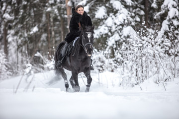 Fototapeta premium Black Horse running in snow on Winter background