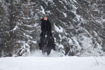 Black Horse running in snow on Winter background