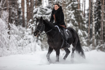 Black Horse running in snow on Winter background