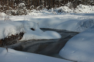 The beauty of the winter forest in Russia, this is not sand in the desert. Magnificent winter...