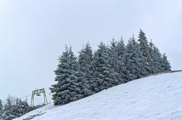 Obraz premium Trees in snow on the ski piste, Sonnenberg ski piste in Harz mountains region, Germany