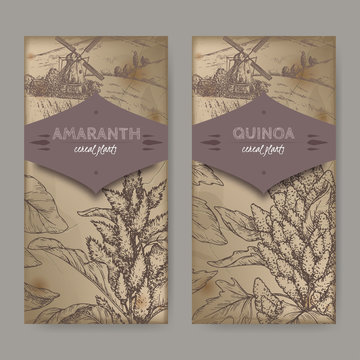 Set of two labels with Amaranthus cruentus aka amaranth and Chenopodium quinoa sketch. Cereal plants collection.