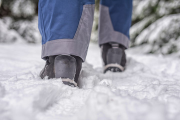 walking in the snow