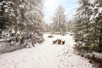 Beautiful winter landscape with snow covered trees