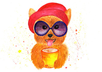 Fashionable Yorkshire Terrier. With glasses and a hat. Graphics for a T-shirt, a cup for a cobra, tea. watercolor illustration.