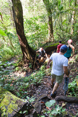 Naklejka na ściany i meble Hiking in Costa Rica
