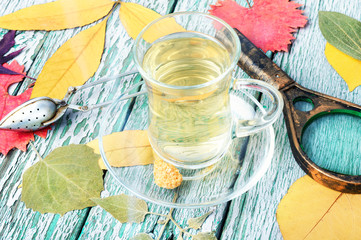 Autumn composition with autumnal tea