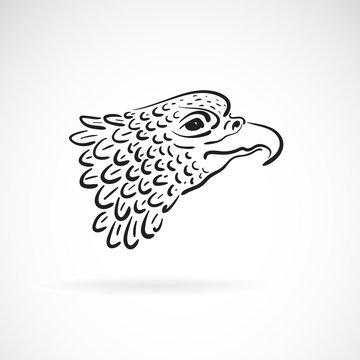 Vector of an eagle head on white background. Bird. Wild Animals. Easy editable layered vector illustration.