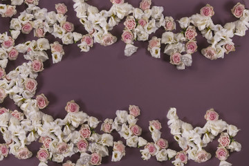 maternity digital backdrop