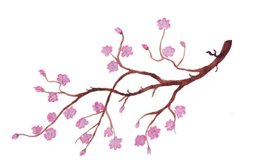 The branch of blooming cherry blossom. This second symbolic meaning is often associated with the influence of Buddhism and tranquility. Delicate pink flowers on a white background are suitable .