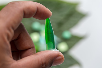 Science Research leaves of Mitragyna speciosa (kratom) and Chemical analysis  in Lab.