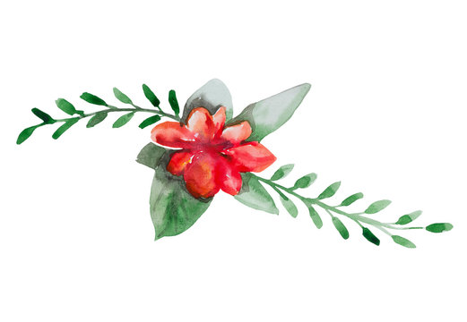 Red flower with long leaves painted in watercolor. Suitable for decorating a wedding invitation, as well as for a card with a picture of a spring blooming composition. Object isolated.