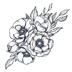 Vector floral composition of hand drawn anemone flowers