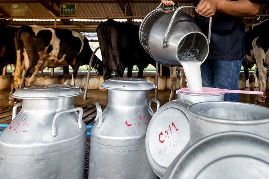 Pouring Milk