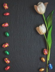 Easter Background with fresh Tulips 