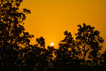 Obraz premium Sunrises and silhouette