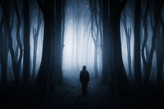 Fototapeta mysterious figure in dark fantasy forest at night