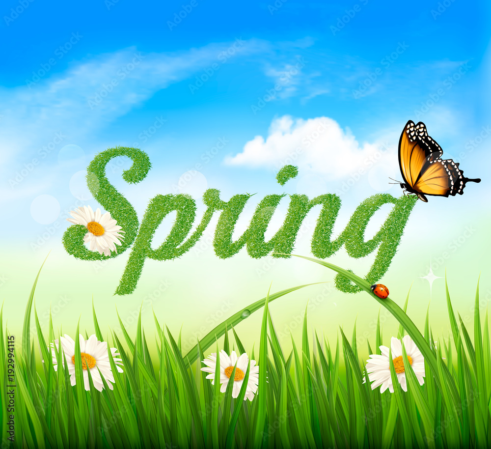 Aufkleber spring background with grass, sky and a butterfly. vector.