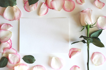 Blush pink Rose and Petals. Horizontal blank paper Mockup. Wedding, romantic template. Background, flat lay, template brochure, banner space for text