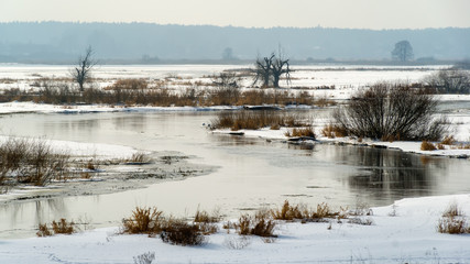 Dolina Górnej Narwi