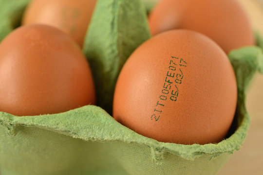 Close-up of eggs with expiration date
