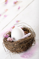 Egg in the nest with pink flowers and feather on white table