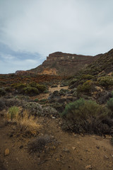 Landscape of volcanic mountains covered with dried flowers and succulents. Blue cloudy sky. High mountain in the background. A vertical image.