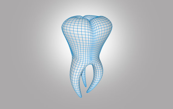 Dente molare 3 radici 3D illustrazione