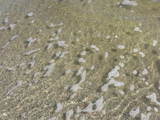 Fototapeta na wymiar Ocean water background on Florida beach