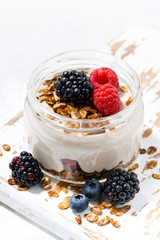 healthy creamy dessert with fresh berries in jar