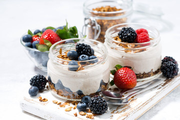 healthy creamy dessert with fresh berries