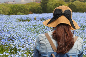 ひたち海浜公園のネモフィラ