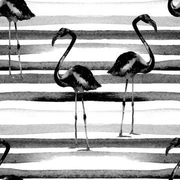 Watercolor Stripes Seamless Pattern with Flamingo.