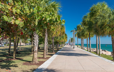 MIAMI - FEBRUARY 25, 2016: South Pointe Park on a beautiful winter day. It is a recreation point for families