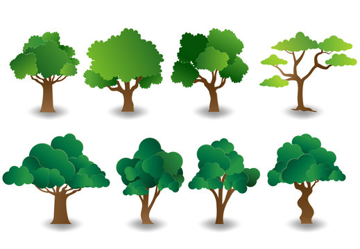 Tree Clipart Images – Browse 175,592 Stock Photos, Vectors, and Video |  Adobe Stock