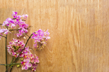 Fototapeta na wymiar Pink orchid flowers on a wooden table. Space for text