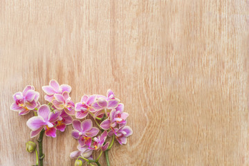 Two branches of pink orchid flowers on a wooden table. Space for text
