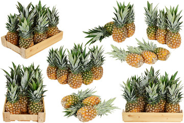 Pineapple on white background