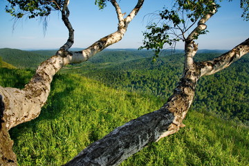 Russia. The South Of Western Siberia. Summer trip to the peaks of Mountain Shoria.