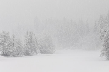 winter at the frozen lake in the forest, the snowstorm makes the forest almost unvisible