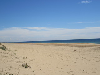 Donana National Park