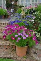 Fototapeta na wymiar A country house terrace with colourful planting of cosmos and mixed planting
