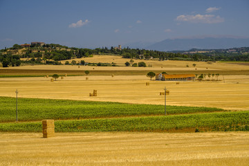 Fototapeta na wymiar Summer landscape near Perugia