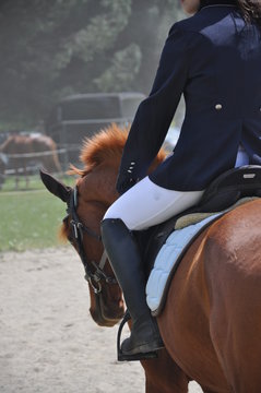 cavalier cheval équitation veste concours 