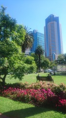 ville parc palmier soleil &eacute;t&eacute; melbourne 