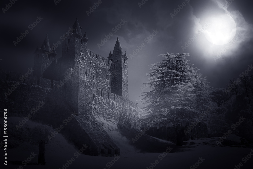 Poster medieval castle at night