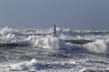 Fototapeta na wymiar Rough sea with big waves