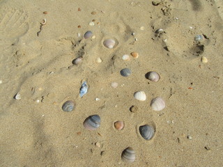 Donana National Park