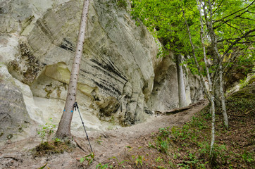 The white sandstone outcrops. Sietiniezis Rock, Latvia. - 193005949