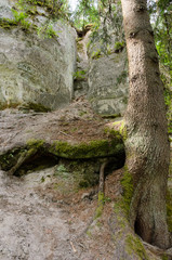 The white sandstone outcrops. Sietiniezis Rock, Latvia. - 193005954